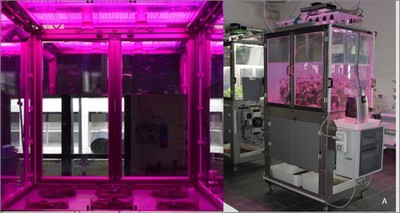 Agrifood: Innovative lighting system for “Microcosmo” 
