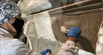Art: ENEA scientists unleash bacteria to clean Michelangelo's marbles