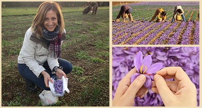 Biotechnology: Italy patents method for producing saffron, world's most expensive spice