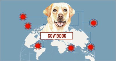 COVID-19: Sensors, artificial intelligence and molecular dogs  deployed to detect the virus