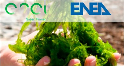 Energy: Agreement between Enel Green power and ENEA for an innovative agrivoltaic pilot plant