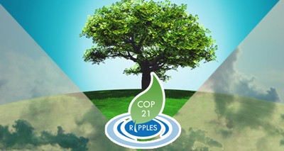 Energy: ENEA analysis of national post-COP21 decarbonisation policies