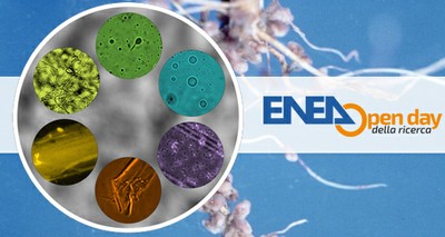 Environment: ENEA among European centers of excellence for collection of microorganisms
