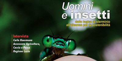 Environment: Men and insects, a new alliance for sustainability