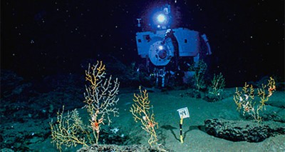 Environment: A call for global strategy for deep-sea activities