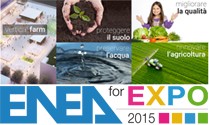 On line ENEA for EXPO
