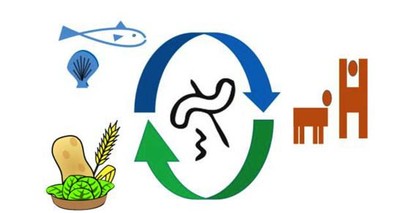 Food: From microbiomes innovative solutions improving food chains