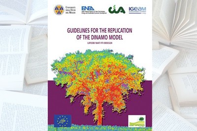 Guidelines for the replication of the DINAMO Model