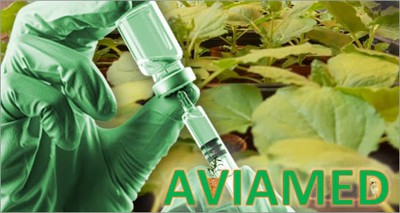 Health: Molecular farming for plant-based veterinary vaccines