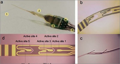 Health: New perspectives for treating diabetes with mini 3D electrodes