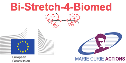 ppBi Stretch 4 Biomed
