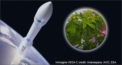 Innovation: All Italian the first micro-vegetable garden for space farming 