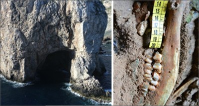Sea: Mediterranean, finds at Egadi area date back the history of navigation 2000 years earlier