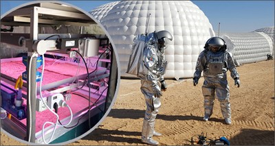 Space: A proving ground for a potential future veg garden on Mars