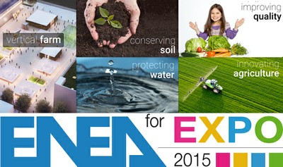 The web portal “ENEAforEXPO 2015”