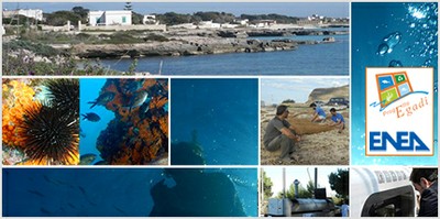 Ambiente: ENEA presenta Progetto Egadi, modello-pilota di turismo sostenibile. In un anno nell’Arcipelago i visitatori sono aumentati del 7%. La notizia sul nuovo numero del periodico ENEAinform@