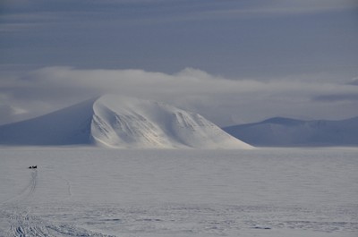 Spolaor_field_work_Svalbard.jpg