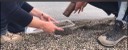 Sampling of microplastics on sand