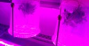 HORTSPACE: cutting-edge technologies for high-tech plant growth and systems to simulate the extreme conditions of the extraterrestrial environment, leading to new insights into plants grown in space as a precious food source for future interplanetary pioneers 