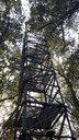 Torre micrometeorologica per le misure dei flussi di ozono nelle chiome degli alberi
