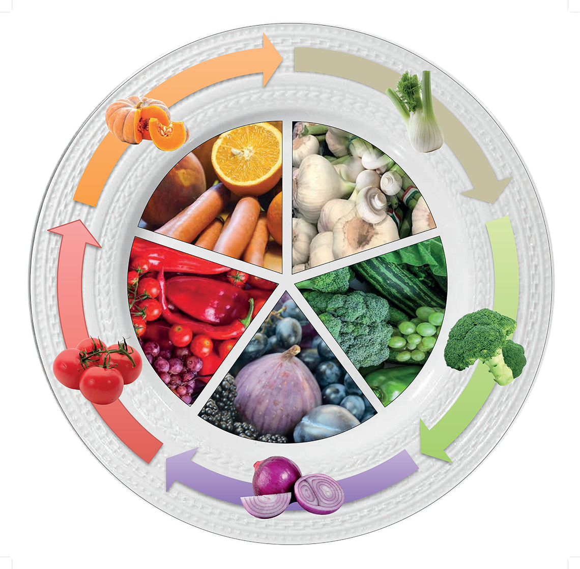 Piatto dei colori – Il piatto rappresenta i 5 colori del benessere