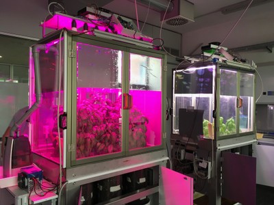 Simulatore smart per coltivare piante al chiuso anche nello spazio
