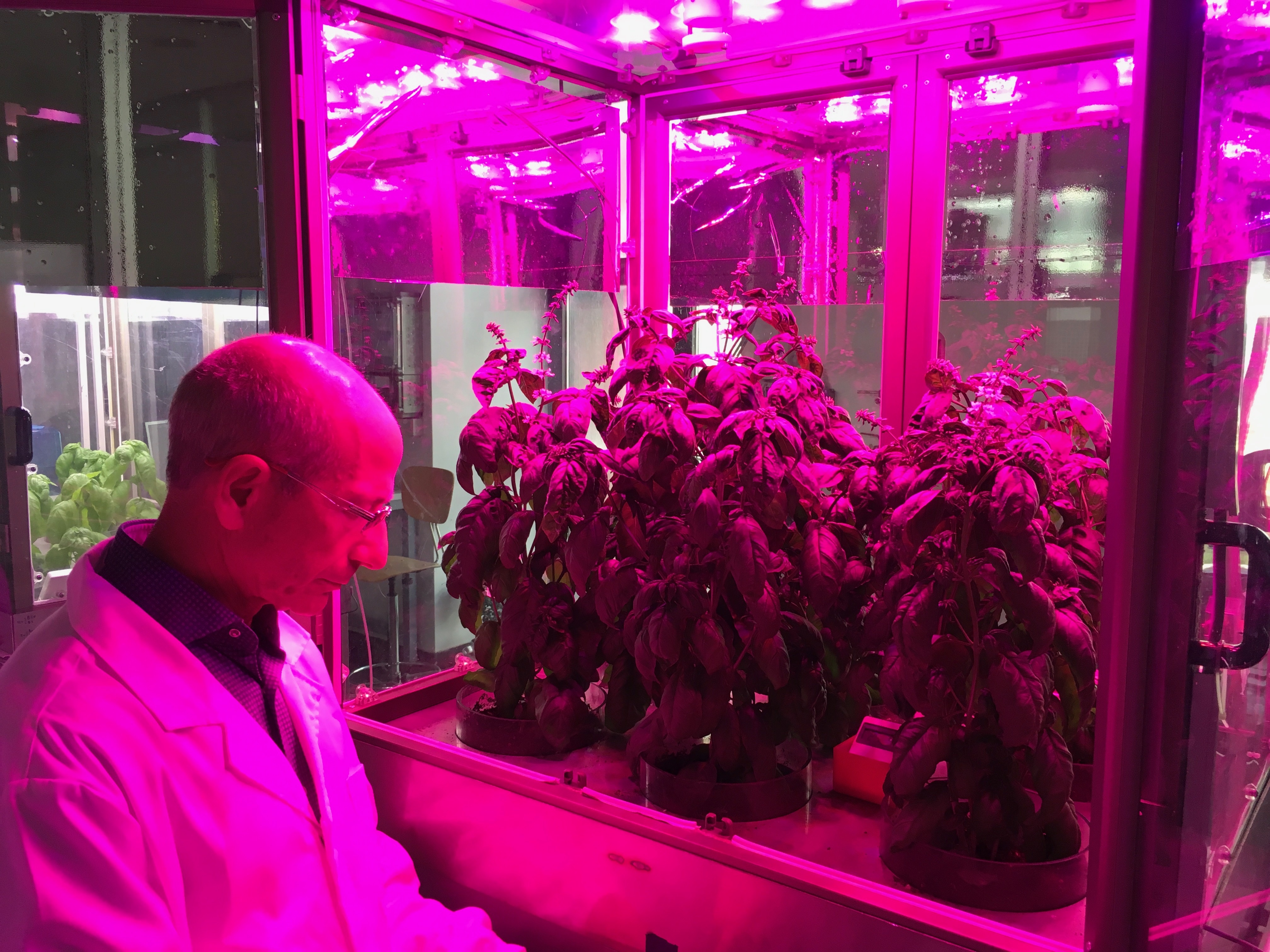 Simulatore smart per coltivare piante al chiuso anche nello spazio