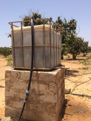 Impianto di irrigazione collegato al pozzo
