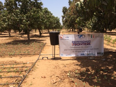 Impianto irrigazione a goccia con logo progetto