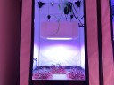 Le camere ‘lunari’ con le attività dell’ENEA per la coltivazione di “micro-ortaggi” con tecnologie idroponiche, in ambiente  artificiale e con sistema di illuminazione LED per promuovere la crescita vegetale e l’accumulo di sostanze bioattive