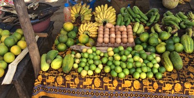 Africa: progetto ENEA con MAECI per  la sicurezza alimentare in Burkina Faso