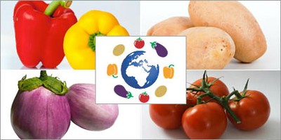 Agricoltura: Italia coordina progetto Ue per "mappatura genetica" di vegetali 