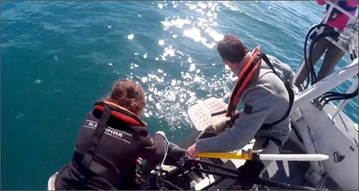 Ambiente: ENEA con Cnr per studiare il Mar Ligure