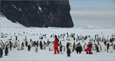 Antartide, call per giornalisti al seguito dei ricercatori