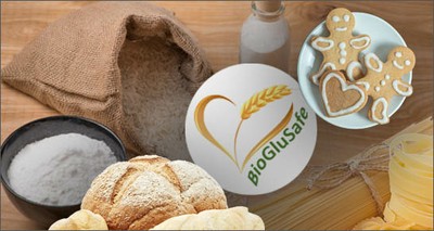 Innovazione: da ENEA un glutine “detossificato” per alimenti adatti a celiaci e intolleranti 